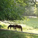 Coliving-colocation Du Chatelet