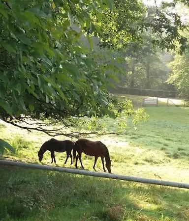 Coliving-colocation Du Chatelet