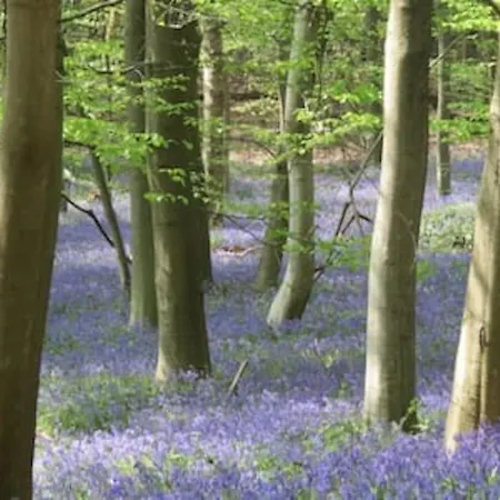 Coliving-colocation Du Chatelet Affittacamere