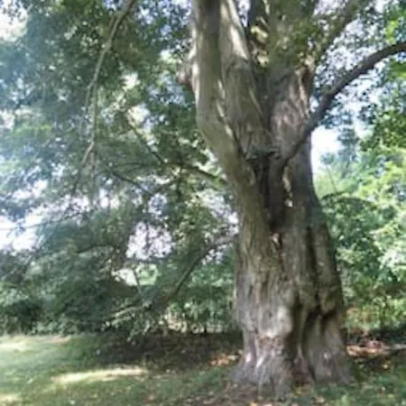 Coliving-colocation Du Chatelet Pensjonat *