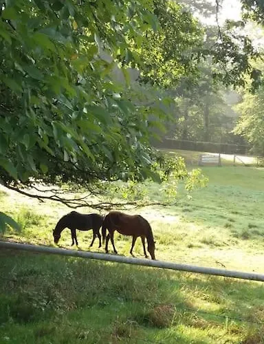 Coliving-colocation Du Chatelet