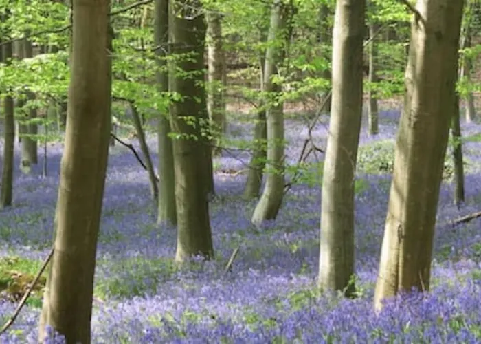 Coliving-colocation Du Chatelet Gasthof