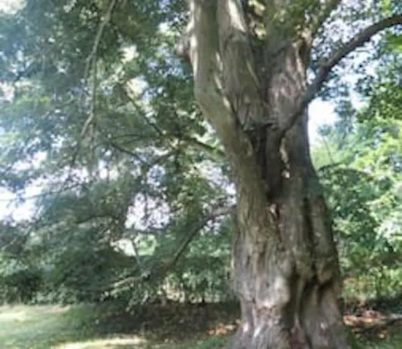 Coliving-colocation Du Chatelet Gasthof *