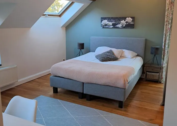 Coliving-colocation Du Chatelet